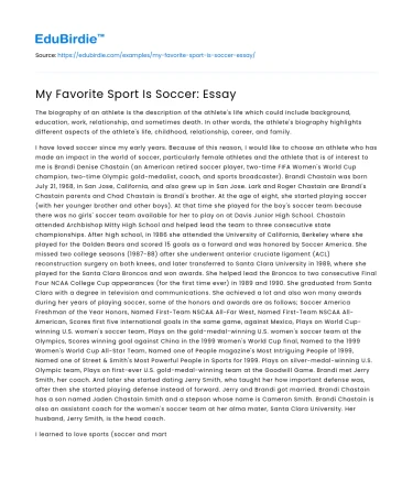 My Favorite Sport Is Soccer: Essay
