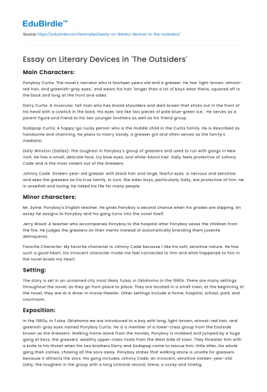 Essay on Literary Devices in ‘The Outsiders’