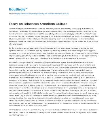 Essay on Lebanese American Culture