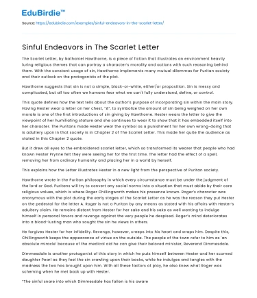 Sinful Endeavors in The Scarlet Letter