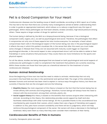 Pet Is a Good Companion for Your Heart