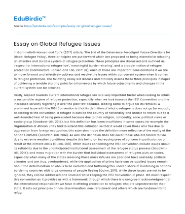 Essay on Global Refugee Issues