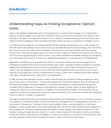 Understanding Hope As Finding Acceptance: Opinion Essay