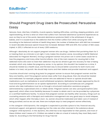 Should Pregnant Drug Users Be Prosecuted: Persuasive Essay