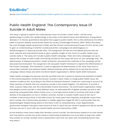 Public Health England: The Contemporary Issue Of Suicide In Adult Males