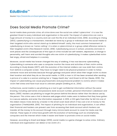Does Social Media Promote Crime?