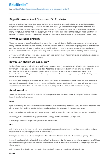 Significance And Sources Of Protein