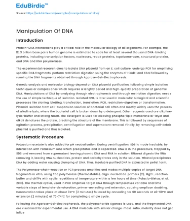 The Intricacies of DNA Manipulation