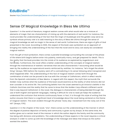 Sense Of Magical Knowledge In Bless Me Ultima