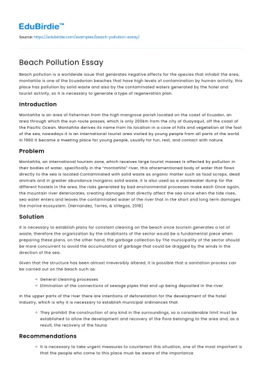 Beach Pollution Essay
