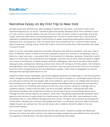 Narrative Essay on My First Trip to New York