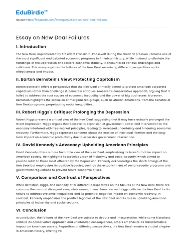 Essay on New Deal Failures
