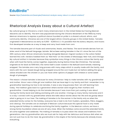 Rhetorical Analysis Essay about a Cultural Artefact