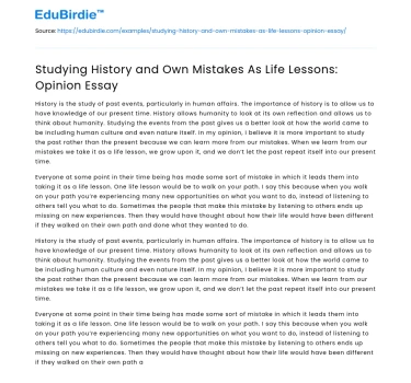 Studying History and Own Mistakes As Life Lessons: Opinion Essay