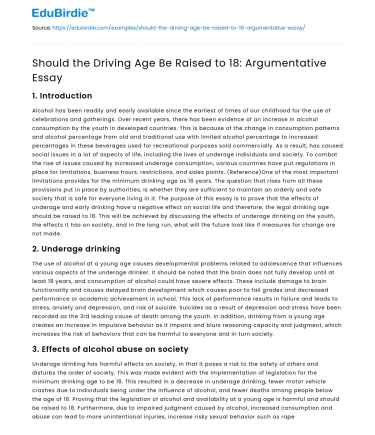 Should the Driving Age Be Raised to 18: Argumentative Essay