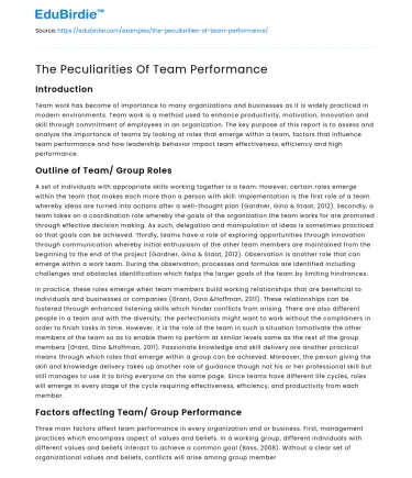 The Peculiarities Of Team Performance