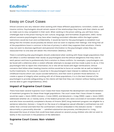 Essay on Court Cases