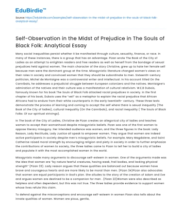 Self-Observation in Prejudice in The Souls of Black Folk: Analysis