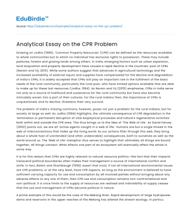 Analytical Essay on the CPR Problem