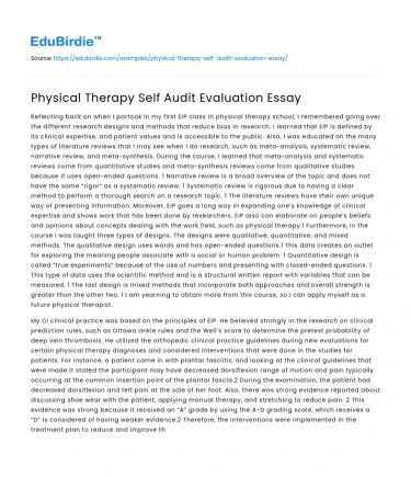 Physical Therapy Self Audit Evaluation Essay