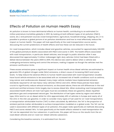 Effects of Pollution on Human Health Essay