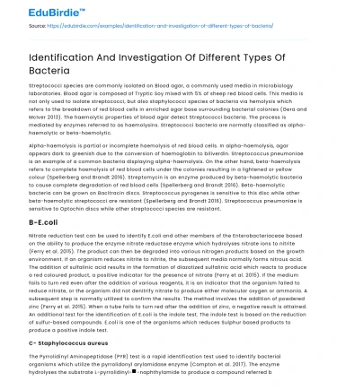 Identification And Investigation Of Different Types Of Bacteria