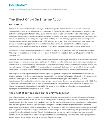 The Effect Of pH On Enzyme Action