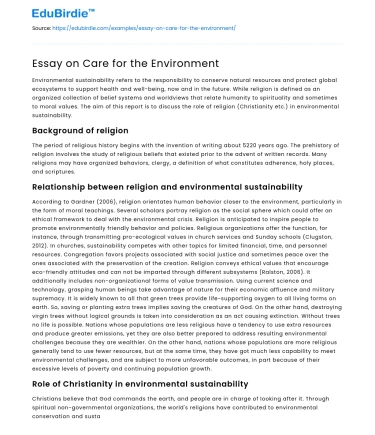 Essay on Care for the Environment