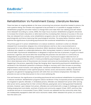 Rehabilitation Vs Punishment Essay: Literature Review