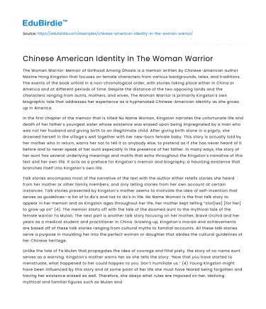 Chinese American Identity In The Woman Warrior