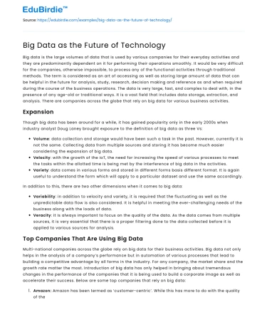 Big Data as the Future of Technology