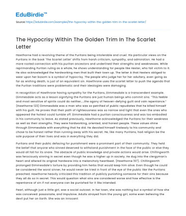 The Hypocrisy Within The Golden Trim In The Scarlet Letter