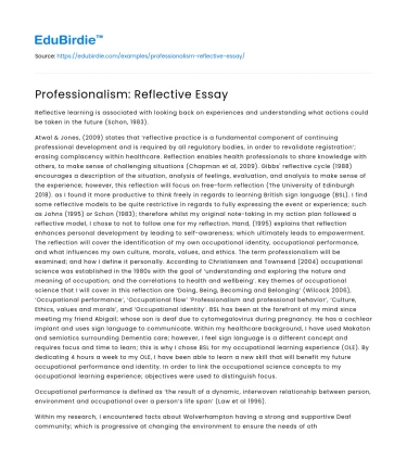 Professionalism: Reflective Essay
