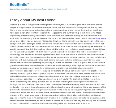 Essay about My Best Friend