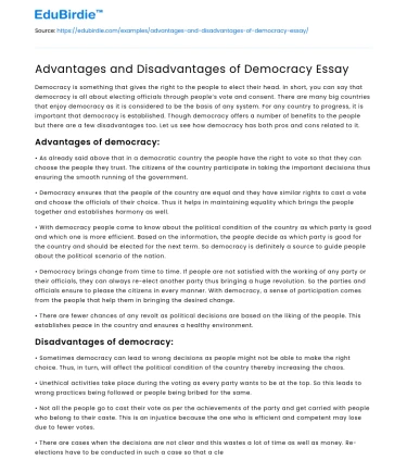 Advantages and Disadvantages of Democracy Essay