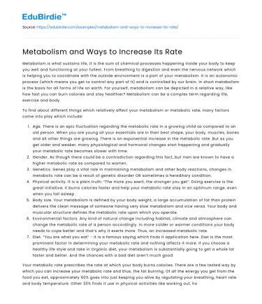 Metabolic Rate: Mechanisms and Strategies