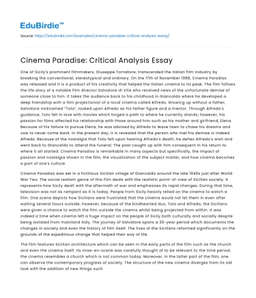 Cinema Paradise: Critical Analysis Essay