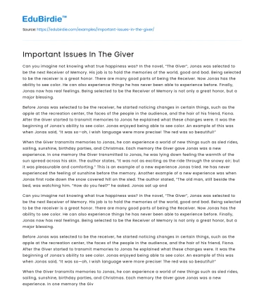 Important Issues In The Giver