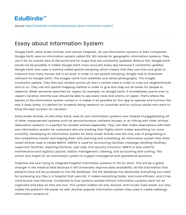 Essay about Information System