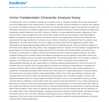 Victor Frankenstein Character Analysis Essay