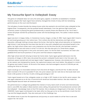 My Favourite Sport Is Volleyball: Essay