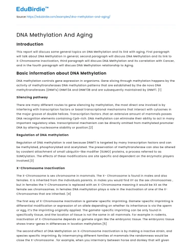 The Role of DNA Methylation in the Aging Process