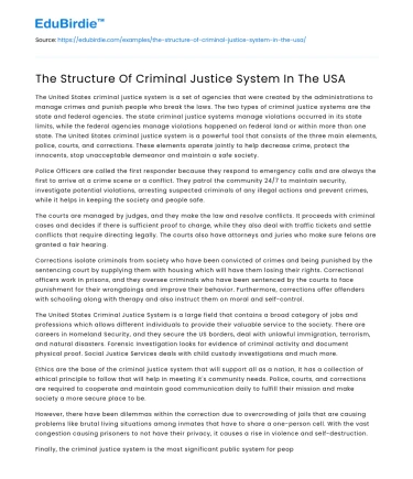 The Structure Of Criminal Justice System In The USA