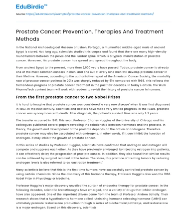 Prostate Cancer: Prevention, Therapies And Treatment Methods