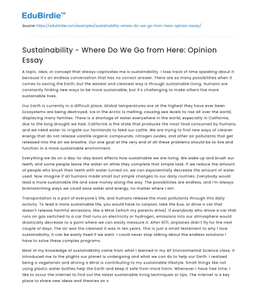 Sustainability – Where Do We Go from Here: Opinion Essay