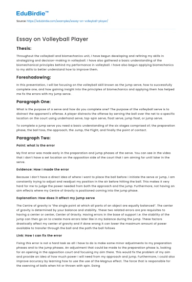 Essay on Volleyball Player