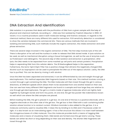 DNA Extraction And Identification