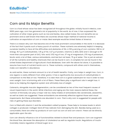 Corn and Its Major Benefits
