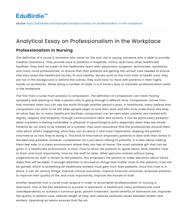 Analytical Essay on Professionalism in the Workplace