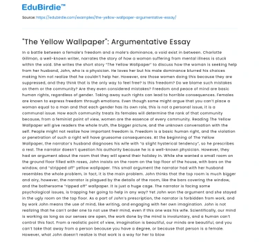 “The Yellow Wallpaper”: Argumentative Essay